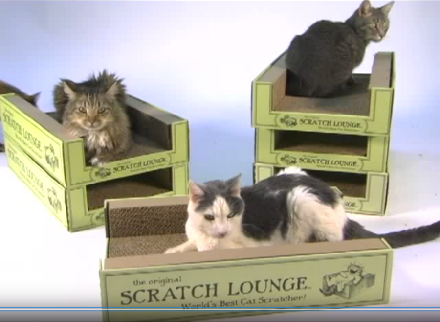 Original Scratch Lounge Classic XL: Wholesale Case of 6