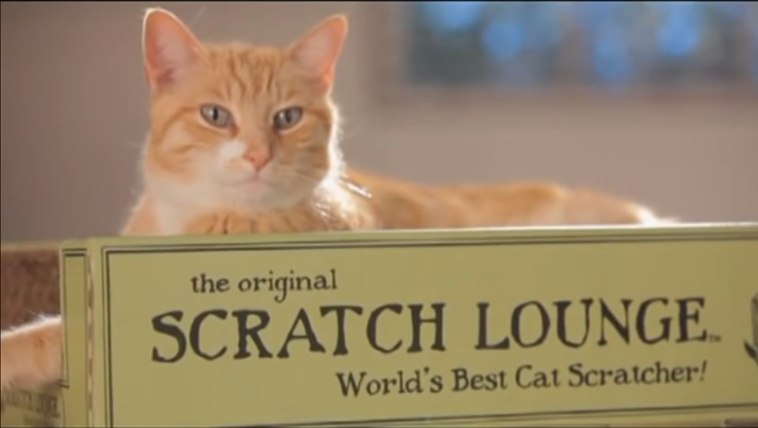 SCRATCH LOUNGE – The patented reversible 3-sided cat scratcher ...