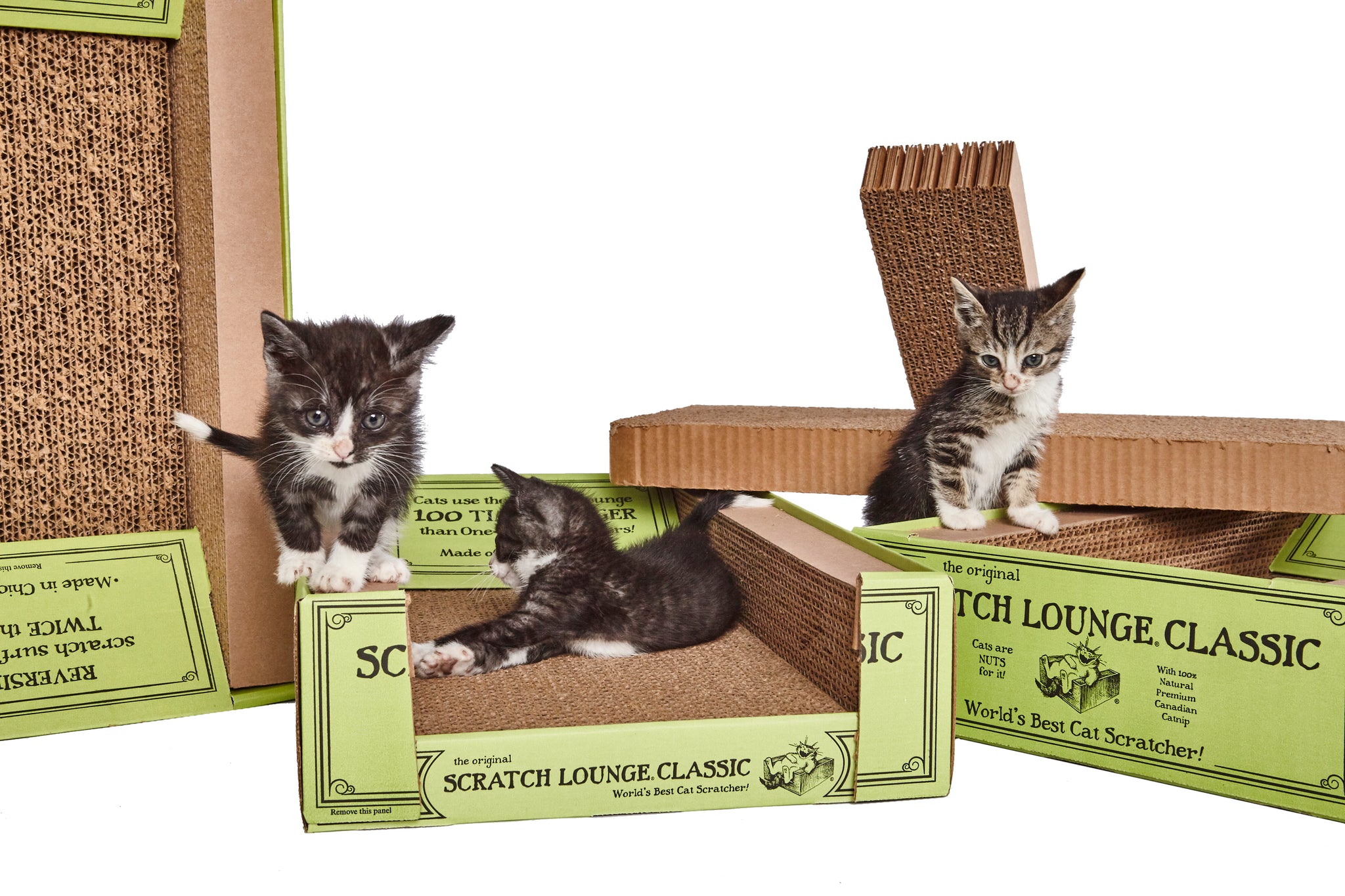 Original Scratch Lounge Classic XL Wholesale Case of 6